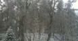 snow2_wyv
